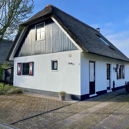 Σπίτι διακοπών Buitenplaats 31 *